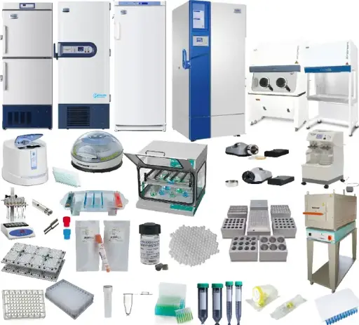 -40°C~-60°C Biomedical Freezer DW-60W138